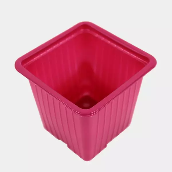 90 Macetas de Colores 7 x 7 x 6 cm rosa