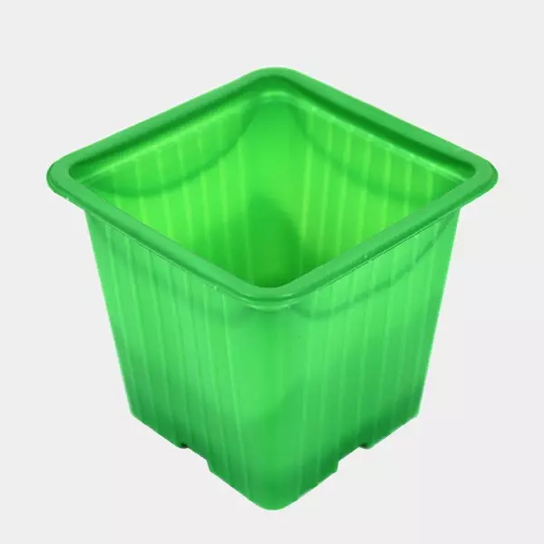 90 Macetas de Colores 7 x 7 x 6 cm verde