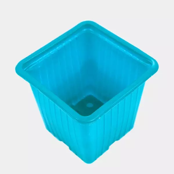 90 Macetas de Colores 7 x 7 x 6 cm azul claro