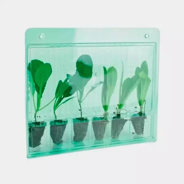 View Transport Case For 6 Cuttings - GB The Green Brand