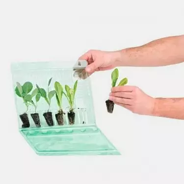 Transport Case For 6 Cuttings - GB The Green Brand