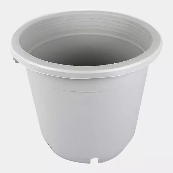Vaso / Pote branco grande com alças Compre potes brancos redondos com alças - GB The Green Brand