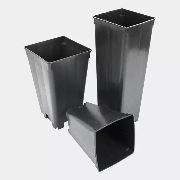 Vasos Alongados Quadrados