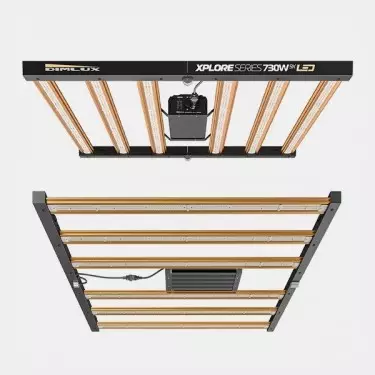 Dimlux Xplore Series LED 730W 9X de baixo