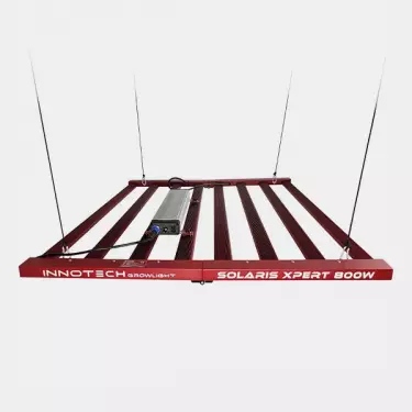 Innotech Solaris Xpert 800W LED top part
