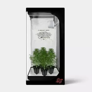 Kit Completo Mini 40x40 Montado