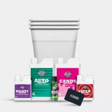 Kit autoflorecientes XXL 3 macetas