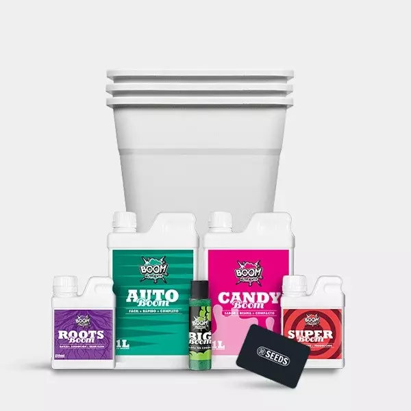 View Kit completo Autoflowering Cultivation Cannabis - GB The Green Brand