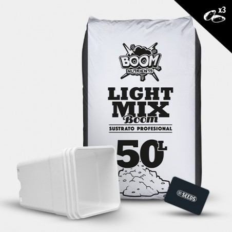 Kit exterior autoflorecientes 3 semillas sin fertilizantes