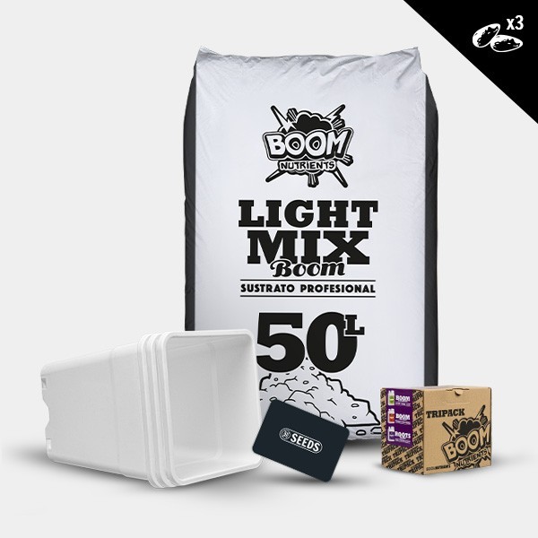 Kit exterior autoflorecientes start tripack 3 semillas