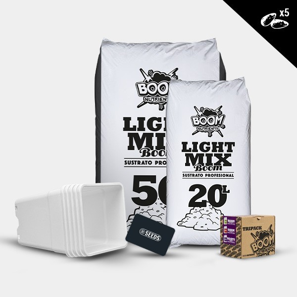 Kit exterior autoflorecientes start tripack 5 semillas