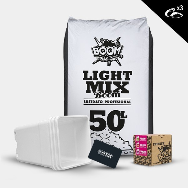 Kit exterior autoflorecientes candy tripack 3 semillas