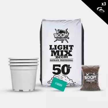 Kit Exterior Feminizadas 3 semillas sin fertilizante