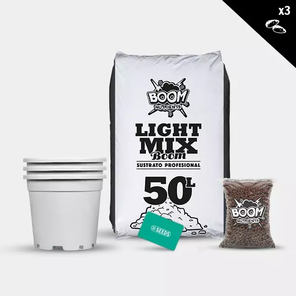 Affordable Outdoor Feminized Kit - GB