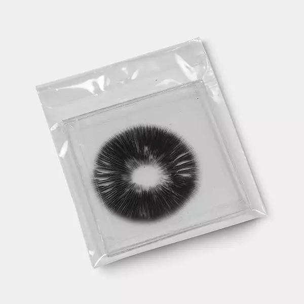 Impressão de Esporos McKennaii - GB The Green Brand