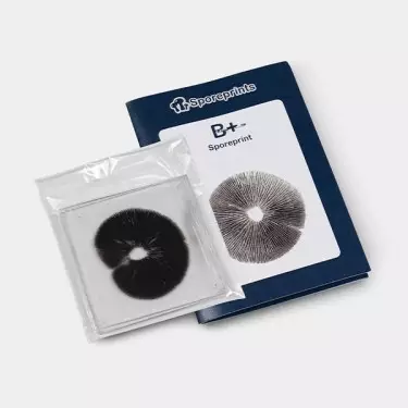 B+ Spore Print packaging