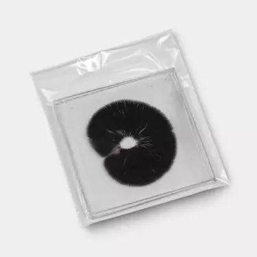 B+ Spore Print detail