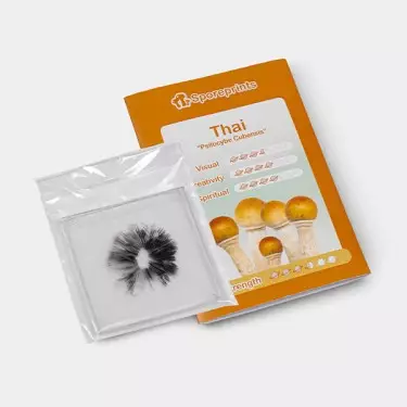 Impressão de esporos Thai packaging