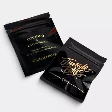 Cochino x Gatorbreath Regular