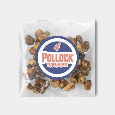 Tampanensis Pollock Truffles