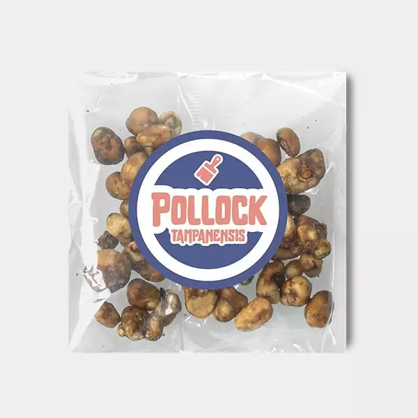 View Trufas Tampanensis Pollock