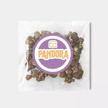 Trufas Pandora → Sensações Místicas 🔮 Psicodélico Intenso
