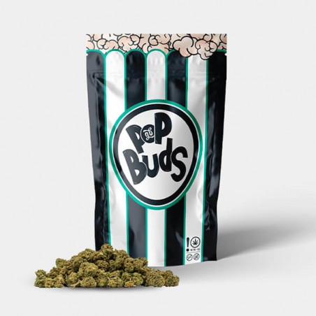 Pop Buds CBD GB 'Black Caramel Premium' (Small) - GB The Green Brand