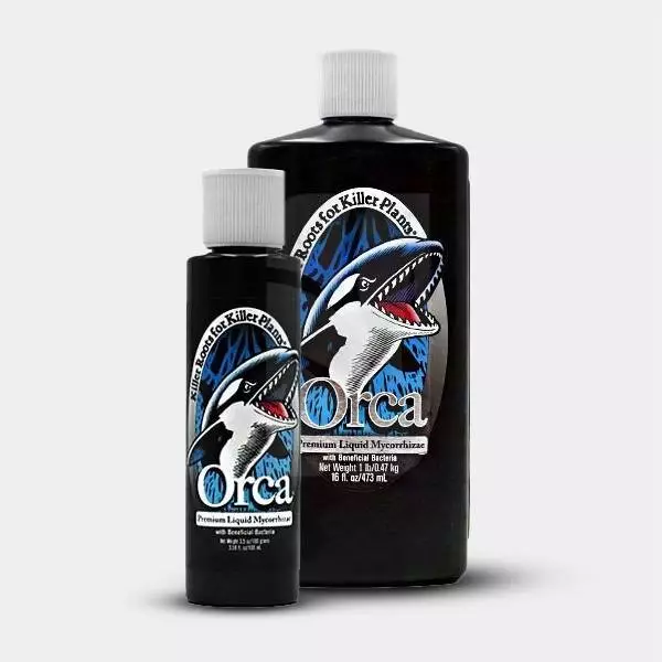 View Orca Liquid