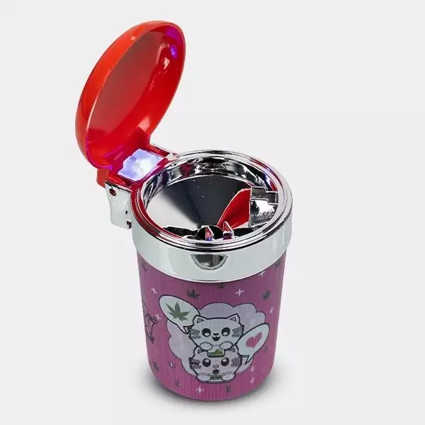 Portable Ashtray for cars