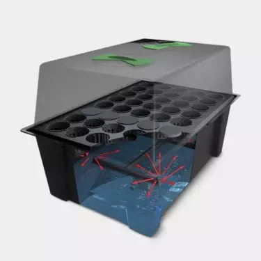 X-Stream of Nutriculture Propellers - GB The Green Brand