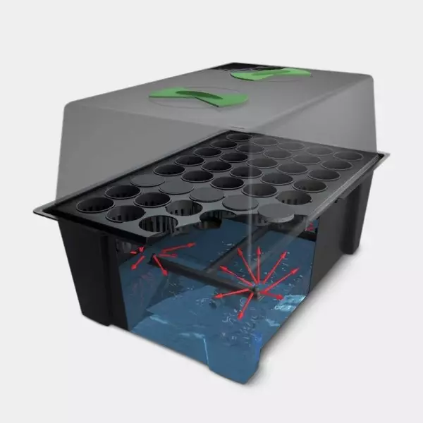 View X-Stream of Nutriculture Propellers - GB The Green Brand