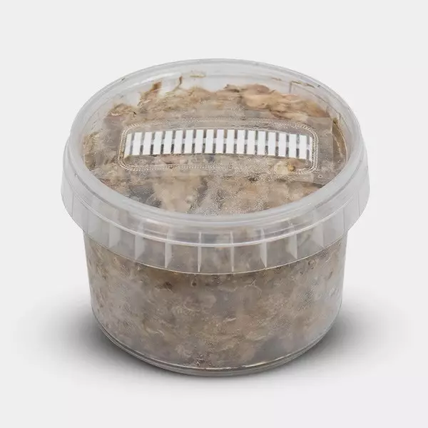 View Kit de Cultivo de Trufas Mexicanas