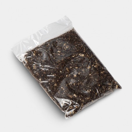 Kit de Cultivo Setas Bluey Vuitton sustrato añadido