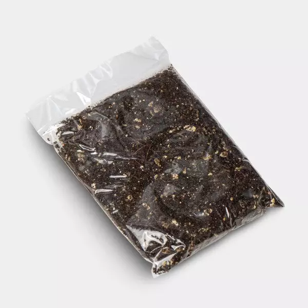 Kit de Cultivo Setas Jack Frost sustrato añadido