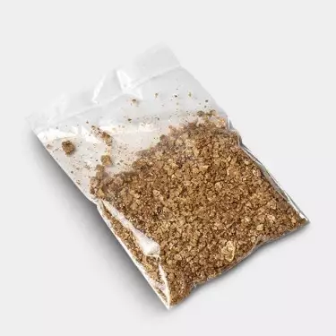 🍄 Moby Dick Magic Mushrooms 🚀 Potency + Production