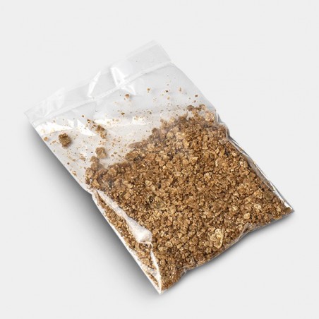 Kit de Cultivo Setas Thai sustrato añadido