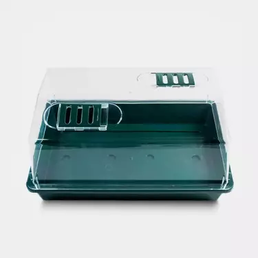 Hard Plastic Propagator Muchrooms and clones