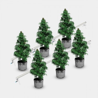 Under Canopy LED 120W Solux plantas