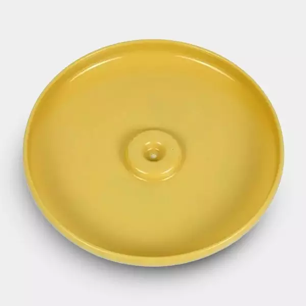 Buy RAW Cone Flying Disc - GB The Green Brand