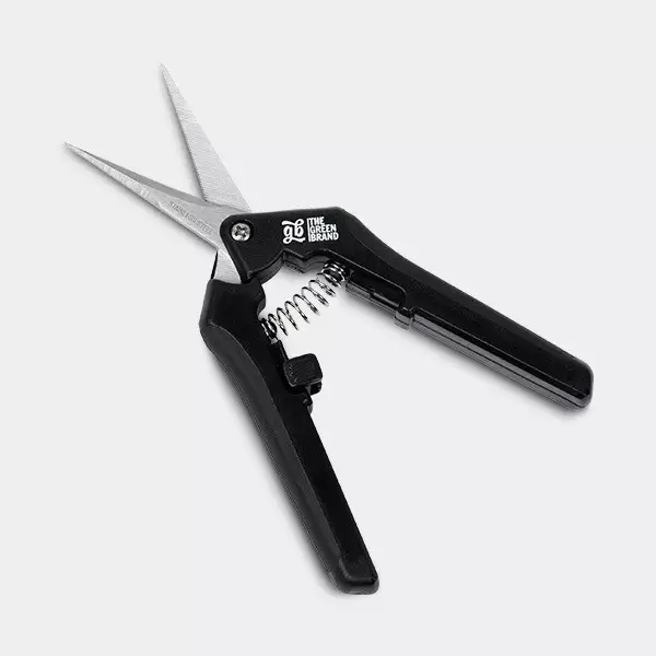 View Straight-Tip Scissors - GB The Green Brand
