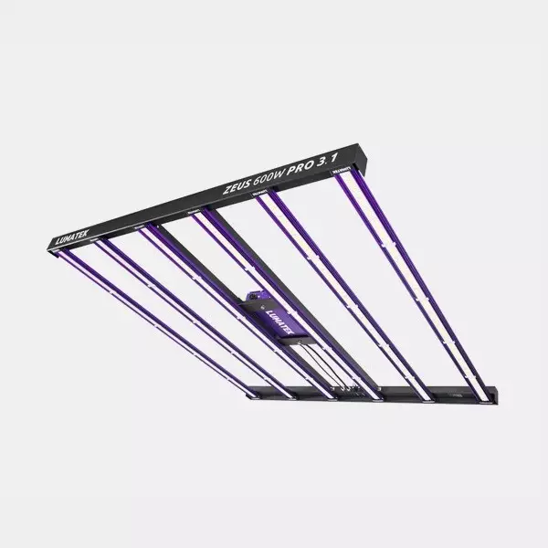 LED Zeus Lumatek 600w Pro 3.1 💡🟣 - GB The Green Brand