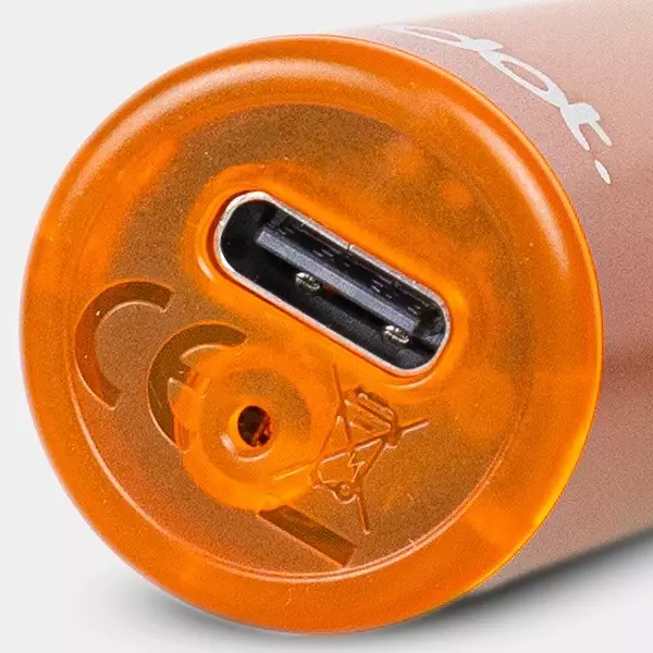 Dotmod Switch Battery