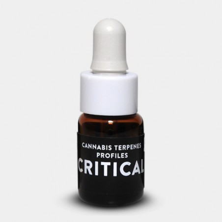 Terpene Critical
