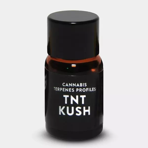 TNT Kush Terpenes by Cali Terpenes - GB The Green Brand
