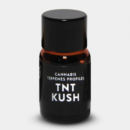 Terpenos TNT Kush