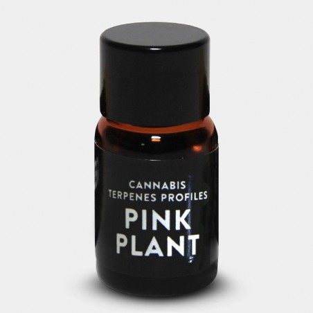 Terpenos Pink Plant