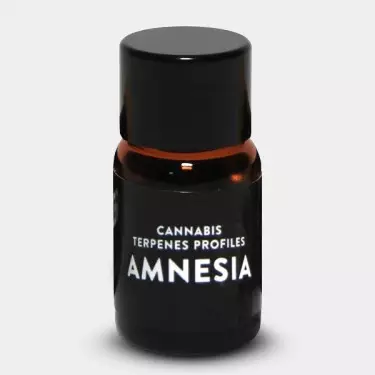 Terpenos Amnesia