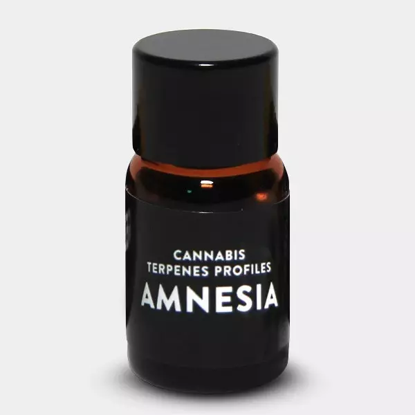 Terpenos Amnesia