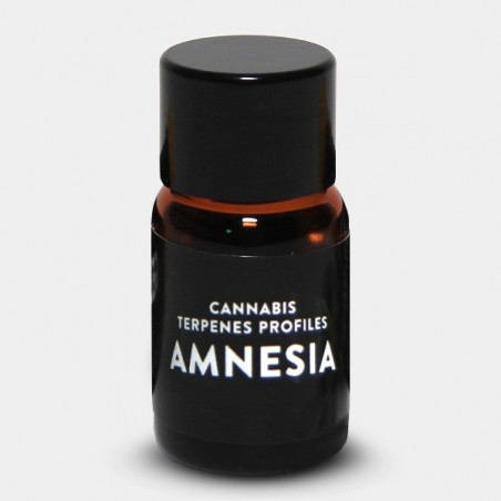 Terpenos Amnesia