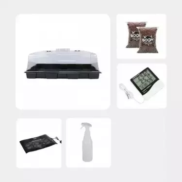 Kit de Autocultivo de Cogumelos Mágicos - GB The Green Brand